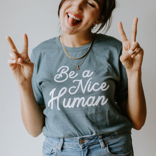 Be A Nice Human - Slate graphic t-shirt